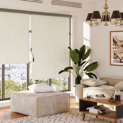 Balcone Protezione solare e riservatezza Meccanismo a manovella Verticale chiusura a rulli per esterni